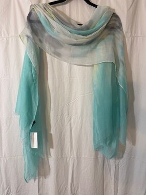 David and Young Aqua and Gray Sheer Ombre Scarf